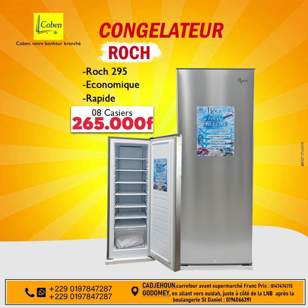 Congélateurs vertical